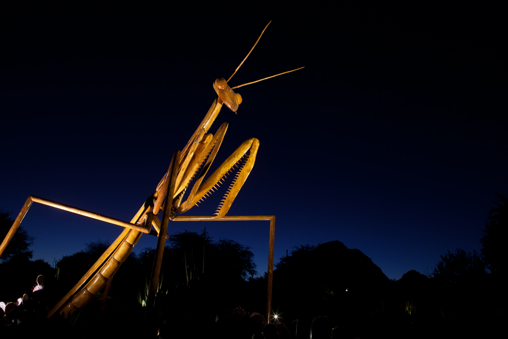 Opening Reception for David Rogers’ Big Bugs: The Pollinators