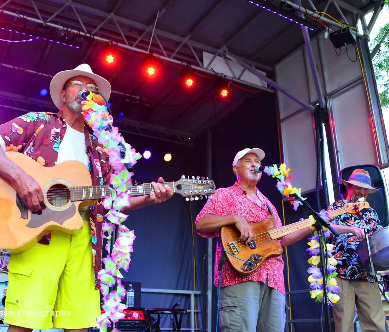 Woodsong Summer Concert – South Of Disorder