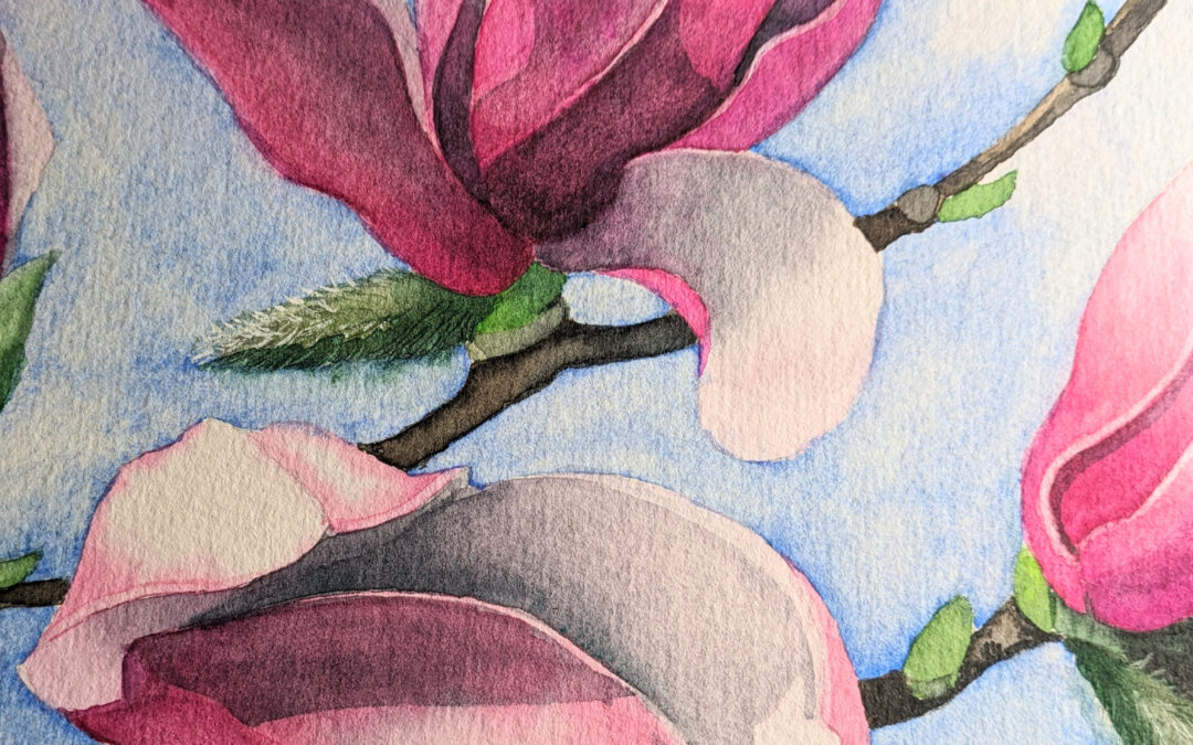 Magnolia Watercolor Workshop
