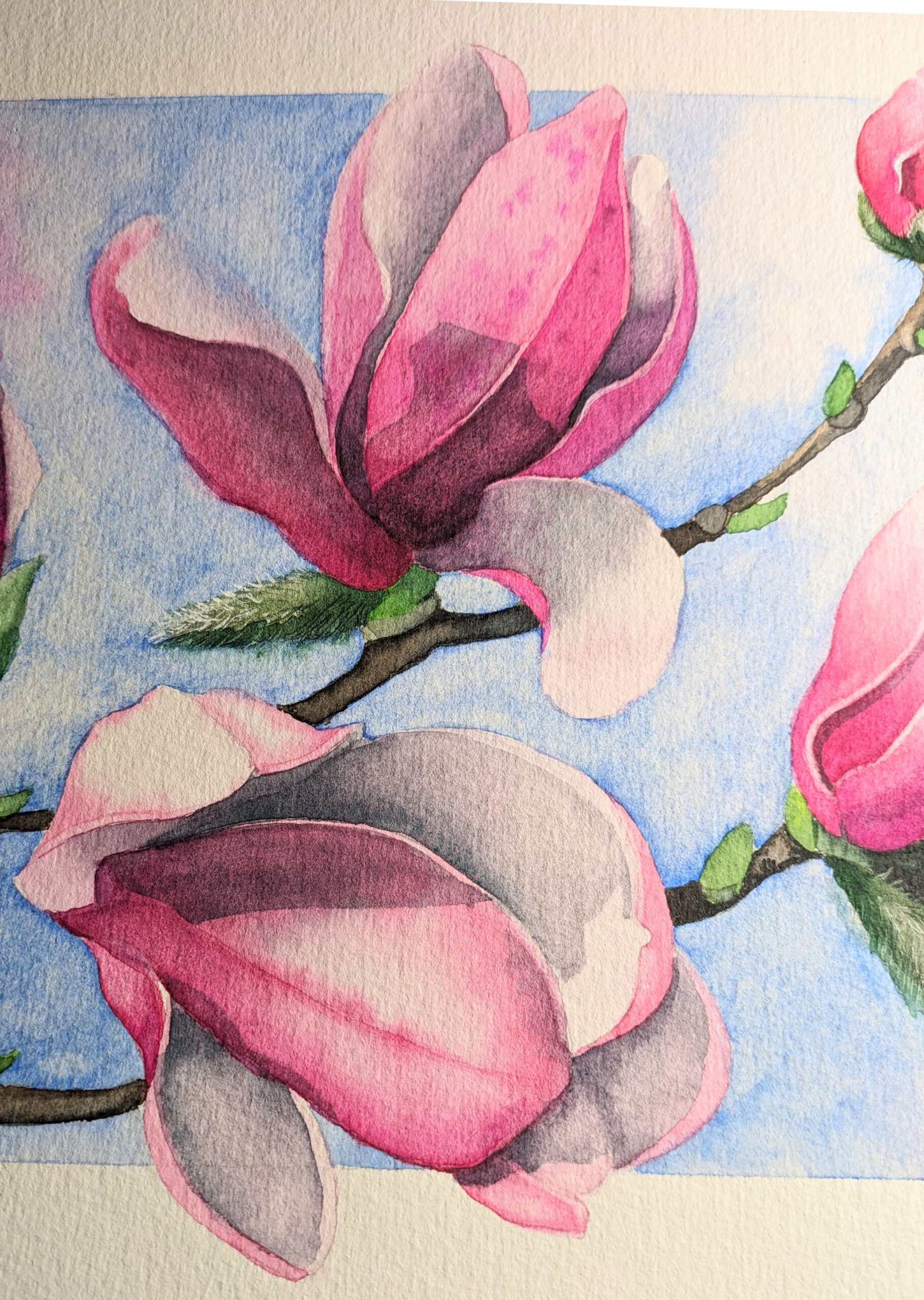 Magnolia Watercolor Workshop