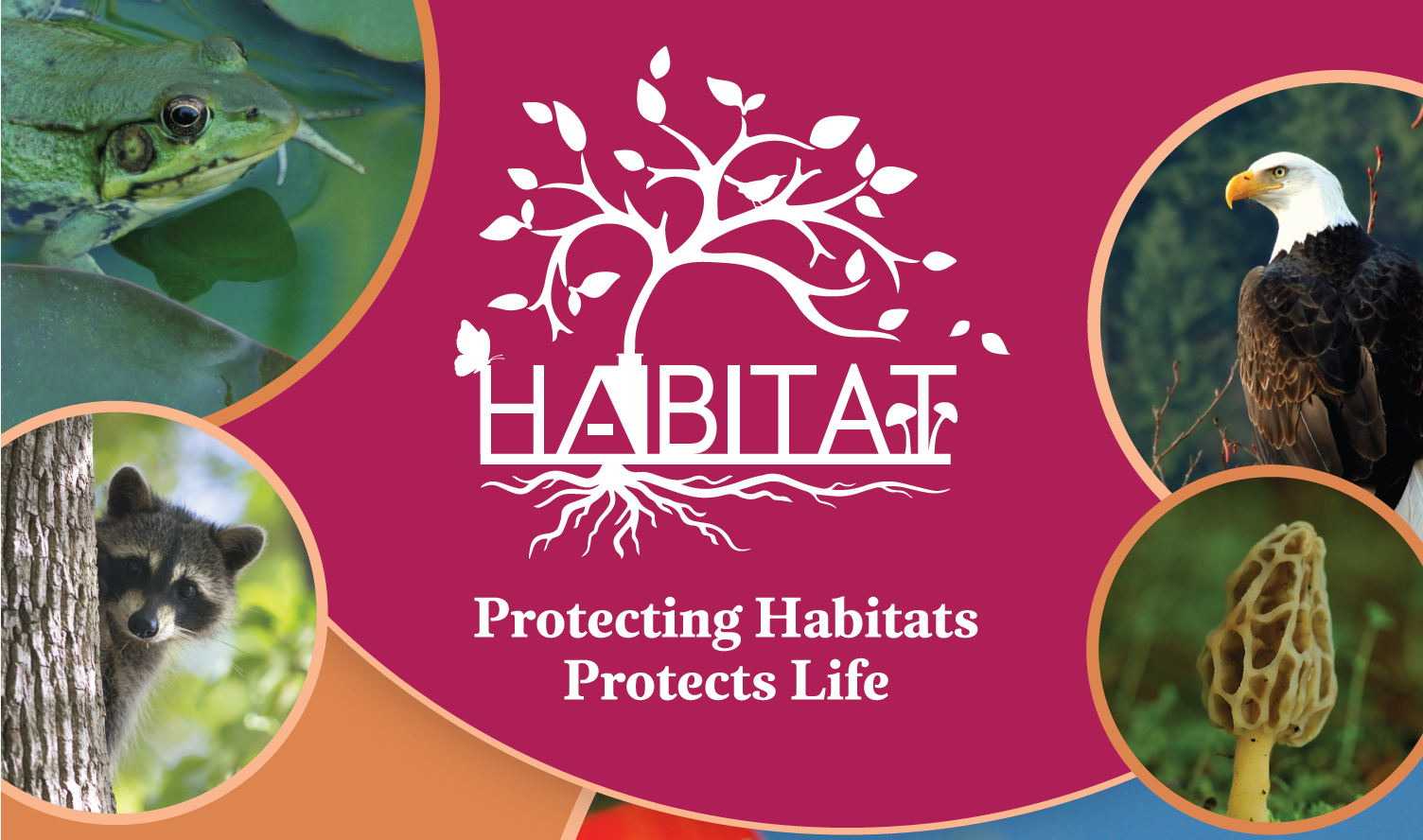 Smithsonian’s Habitat: Protecting Habitats Protects Lives