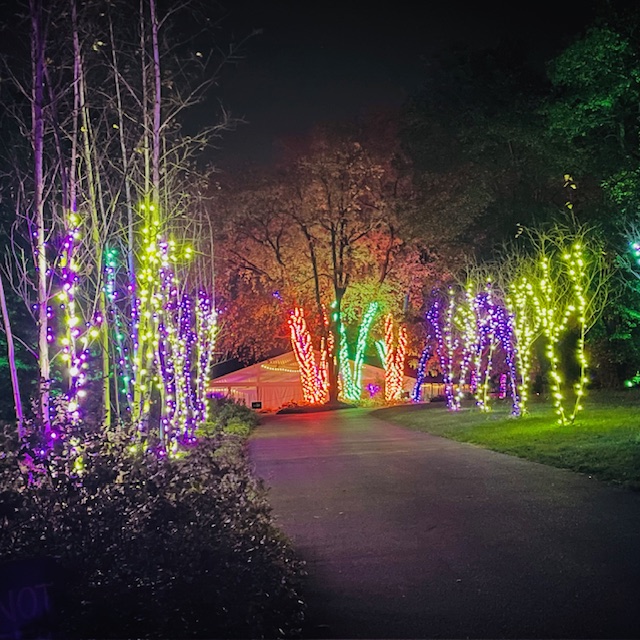 Eerie Autumn Lights 2026