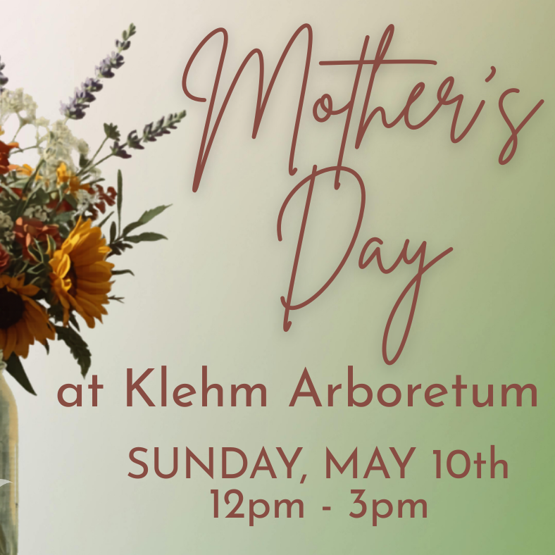 Mother’s Day Garden Celebration