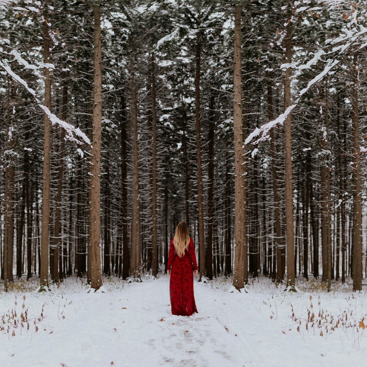 Winter Solstice Tranquility Walk