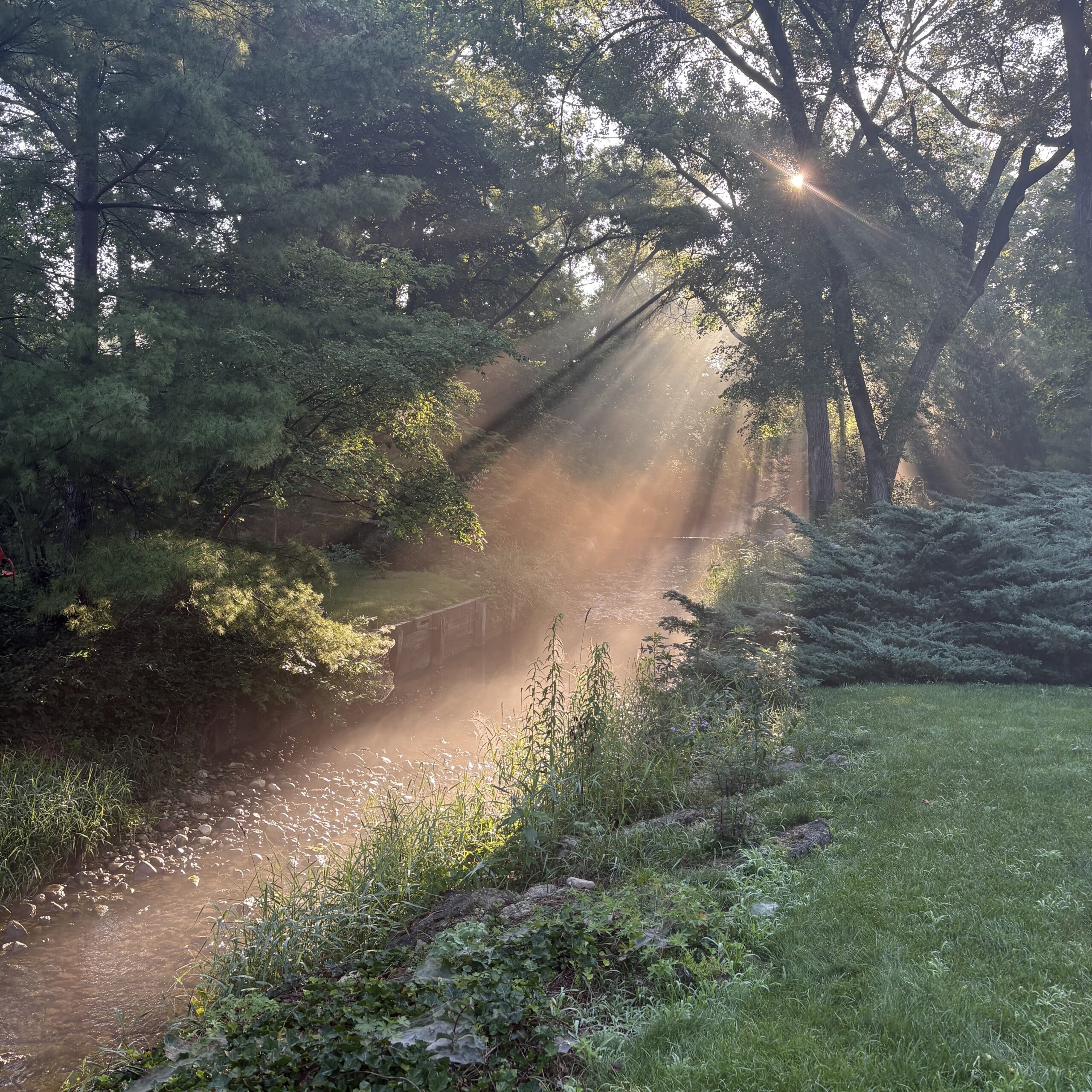 A River Runs Through It Tranquility Walk